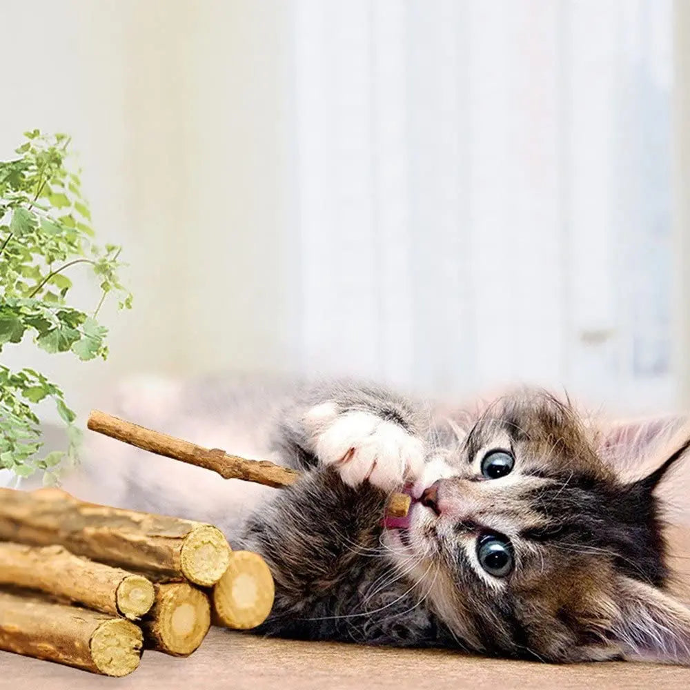 Catnip Toys Organic Natural Plant