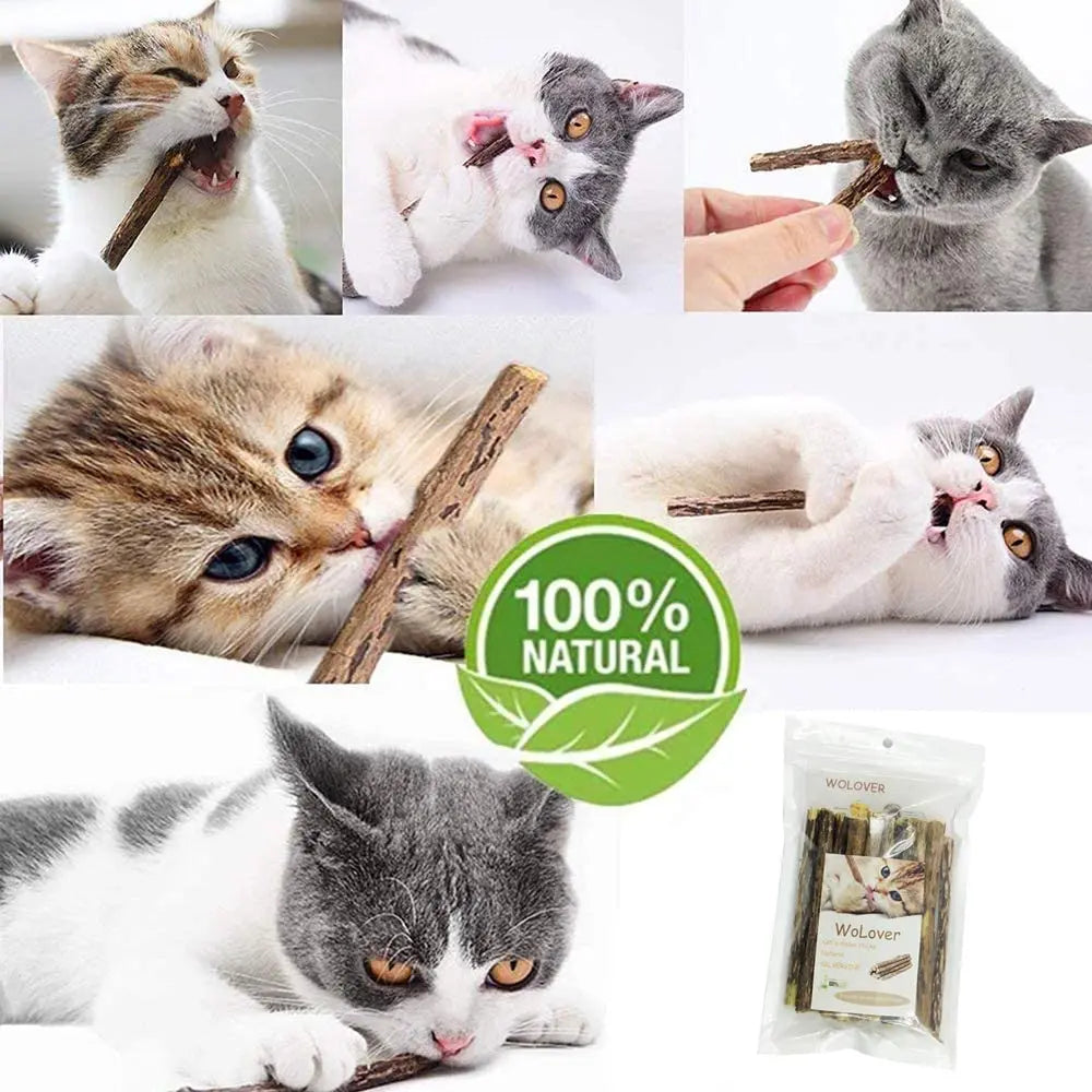 Catnip Toys Organic Natural Plant