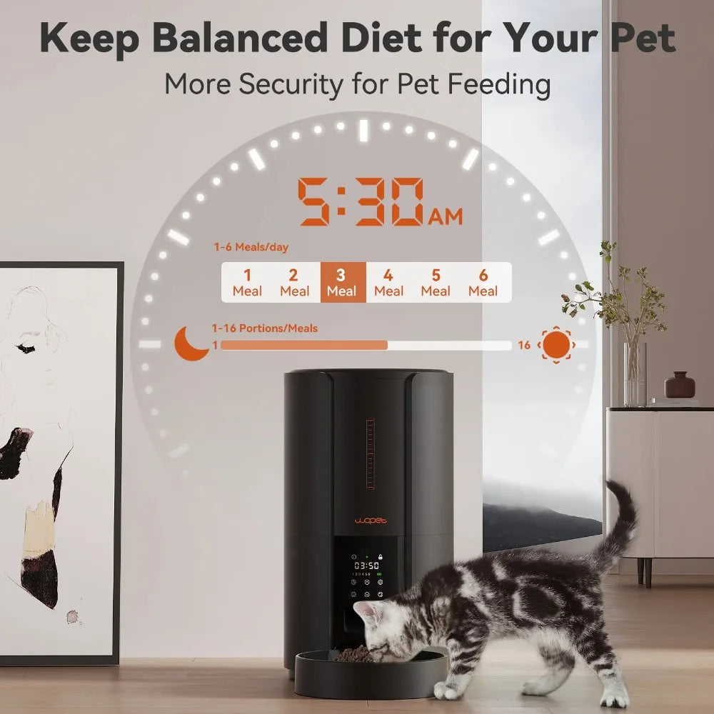 Dog Feeder Programmable Automatic Cat and Dog Pet Feeder Feeding and Water Drinker Dogs Holds 7.5 Pounds Food Dispenser Feeders