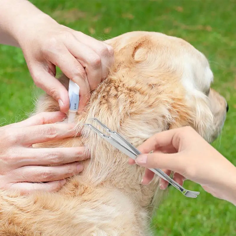 Dog Tick Remover Kit