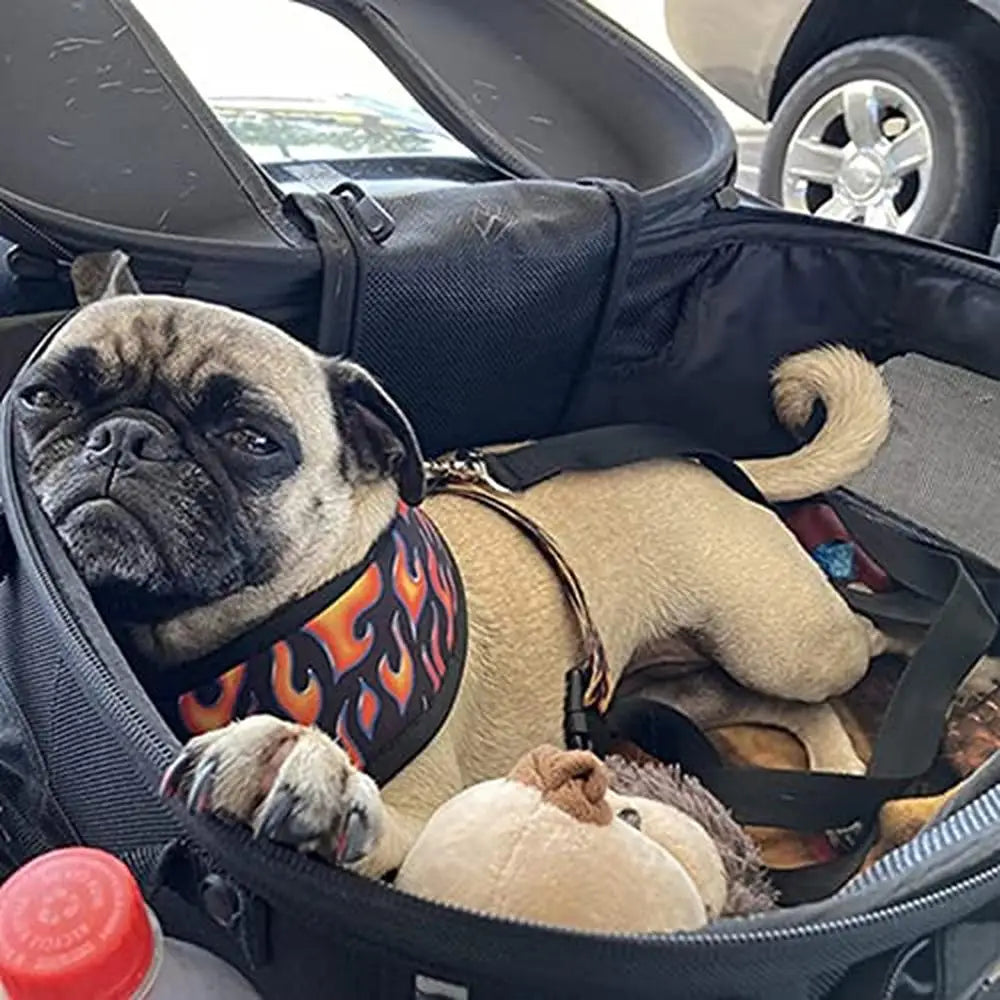 Motorcycle Dog Cat Carrier