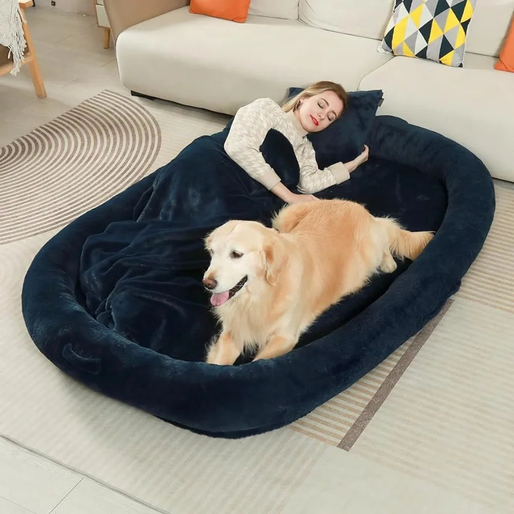 “Dog Bed