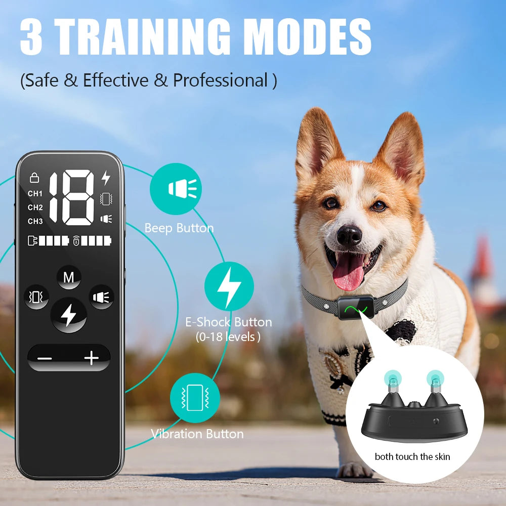 Dog Training Collar