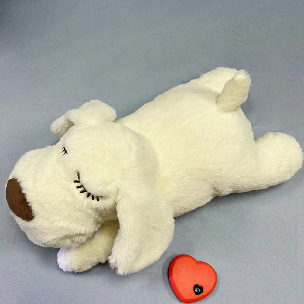 Puppy Behavioral Training Toy