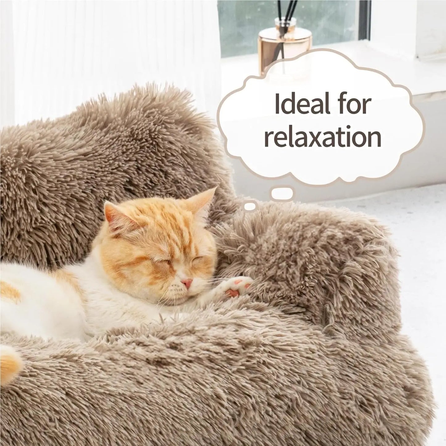 Pet Bed for Cats & Small Dogs