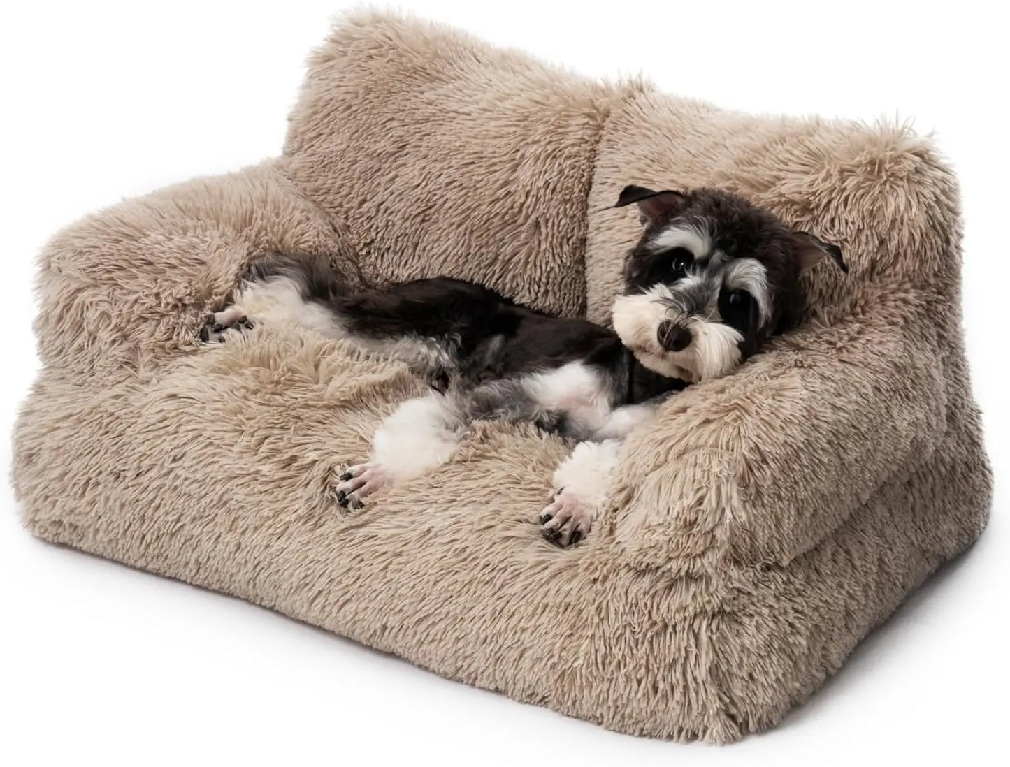 Pet Bed for Cats & Small Dogs