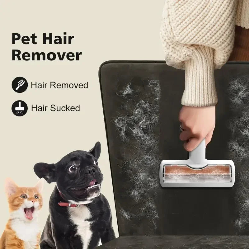 Dog Grooming Kit